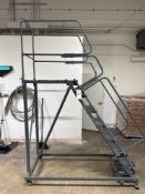 Ballymore Safety Ladder