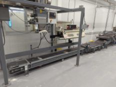 Fischbein PBC 6000 Pre-glued Hot Air Paper Bag Band Sealer with Conveyor