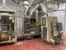 GEA Avapac In Line Powder Packer Complete System