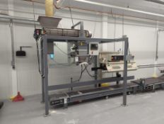 JEM International Inc ROY DIG Stainless Steel Bulk Bag Auger Filler
