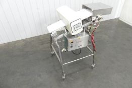 Safeline Incline Metal Detector 14