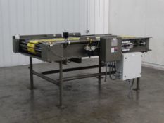 Stewart Switch 42A-BO-705 Sorting Conveyor