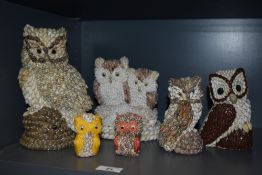 Six owl studies formed from small shells.