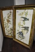 Two late 19th/ early 20th century framed and glazed hand painted scenes of birds and foliage on milk