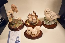 Four Border Fine Arts figure studies of Owls including Owlets, Tawny Owlets O81, Snowy Owl and A