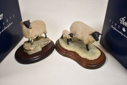 Two Border Fine Arts figure studies of a Black faced Ewe 117 and Suffolk Ewe with Lamb 119 both
