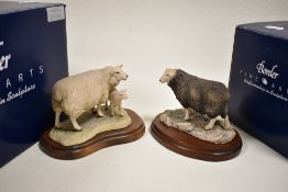 Two Border Fine Arts figure studies of a Herdwick Ewe 118 and Texel Ewe and Lamb 120 both having