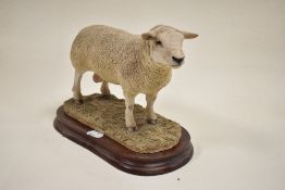 A Border Fine Arts figure study of a Texel Ram B0530