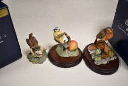 Three Border Fine Arts figure studies of garden birds including Wren, Blue tit and Robin