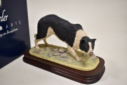 A Border Fine Arts figure study of a Collie Dog with original box.
