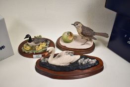 Three Border Fine Arts figure studies including Canada Goose RW9, Swan and Cygnets WW4 and Thrush