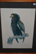 Bob Finch, (20th century), after, a print, hawk, signed, 52 x 37cm, framed and glazed, 71 x 56cm