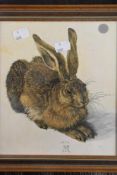 Albrect Durer, (1471-1528), after, a 20th century re-print, young hare, 22 x19cm, framed and glazed,