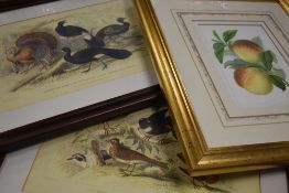 (20th century), a pair of re-prints, wild birds, inc thrush and turkey, 26 x 38cm mounted framed and