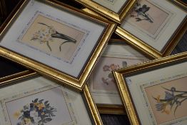 P J Redoute (19th/20th century), six 20th century re-prints, still life, 19 x 13cm, mounted framed