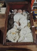 A stained frame and glazed display box containing 14 mixed Dolls including early 20th century Armand