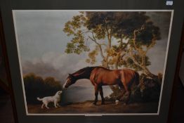 George Stubbs, (19th century), a 20th century re-print, Bay Horse and White Dog, 53 x 65cm,