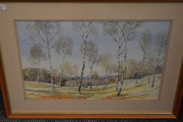 Sydney Passmore, (20th century), a watercolour, Lakeland woodland, signed, 33 x 49cm, mounted framed