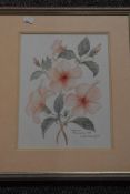 Didi Ritherford, (20th century), a watercolour, Hibiscus Belvidere, signed and dated 1991, 30 x