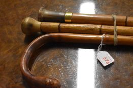 Three walking canes 2 with bone tops