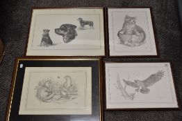 Three prints of wildlife interest, owl, otter and cats, signed C Varley.