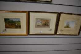 Tovey, (contemporary), three watercolours, birdlife, inc domestic fowl, signed, 12 x 17cm, mounted