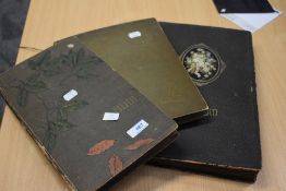 Three Albums of mixed vintage GB & World Postcards including Real Black & White Photographs, Humour,