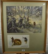(20th century), a pair of prints, German naturalist, 50 x 40cm, mounted framed and glazed, 63 x