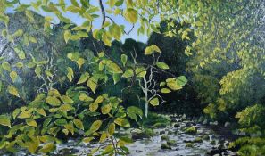 A late 20th century oil on canvas, babbling brook, unsigned, within a lightwood frame 70cm x 116cm