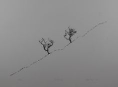 After Alan Stones (Local Contemporary) a limited edition lithographic print, entitled 'Couple (