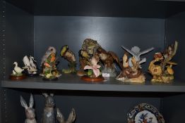 A selection of animal studies, to include Readers Digest, Aynsley etc, birds, otters and mice to