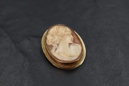 A conch shell cameo brooch depicting a maiden in profile in a 9ct gold mount