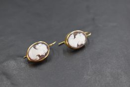 A pair of conch shell cameo earrings having loop drop fittings and collared mounts stamped 9ct