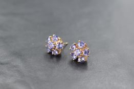 A pair of tanzanite daisy cluster stud earrings having 9ct gold mounts, total approx 2.42ct & 2.7g