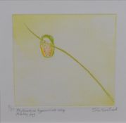 John Norris Wood (1930-1915) a limited edition coloured print, entitled 'Phyllomedusa Hypocondrialis