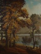 David Walsey, (2oth century), autumnal woodland and river, signed, 90 x 70cm, framed, 100 x 80cm