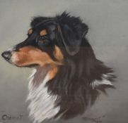 E Prosser, (20th century), a pastel sketch, Cheviot, border collie, signed and dated 1931, 35 x
