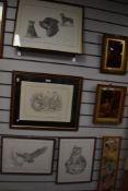 Three prints of wildlife interest, owl, otter and cats, signed C Varley.