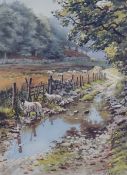 After Judy Boyes (British B.1943) a limited edition coloured print, entitled 'After Rain at