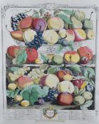 After Robert Furber (1674-1756), Henry Fletcher (engraver act.1715-38) A reproduction coloured