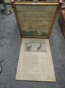 A framed and glazed print, Plan & View of the Battle of Waterloo with the positions of the troops,