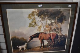 George Stubbs, (19th century), a 20th century re-print, Bay Horse and White Dog, 53 x 65cm,