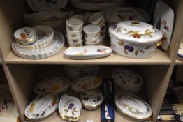 Two shelves of modern Royal Worcester Evesham pattern tea and dinner wares.