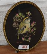 John Selby (local contemporary) an oval watercolour on black paper, depicting a perched Goldcrest,