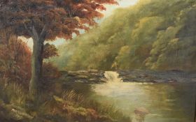 M.R Robinson (19th/20th century) oil on canvas, woodland river scene, signed and dated 1915 lower