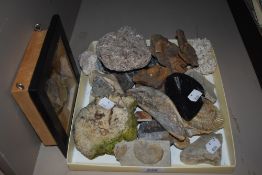 A collection of natural history interest fossils and mineral samples.