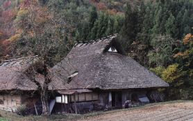 A large facsimile colour photograph, a view of a traditional thatched Japanese farmhouse (kayabuki