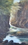 Ann Celia Freeman (contemporary) oil on board, a sunlit gorge with slow moving stream, possibly Lake
