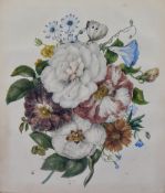 An early 20th century watercolour, botanical study of flowers with moth, unsigned within a moulded