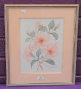 Didi Ritherford (20th century) watercolour botanical study'Hibiscus Belvidere', signed and dated
